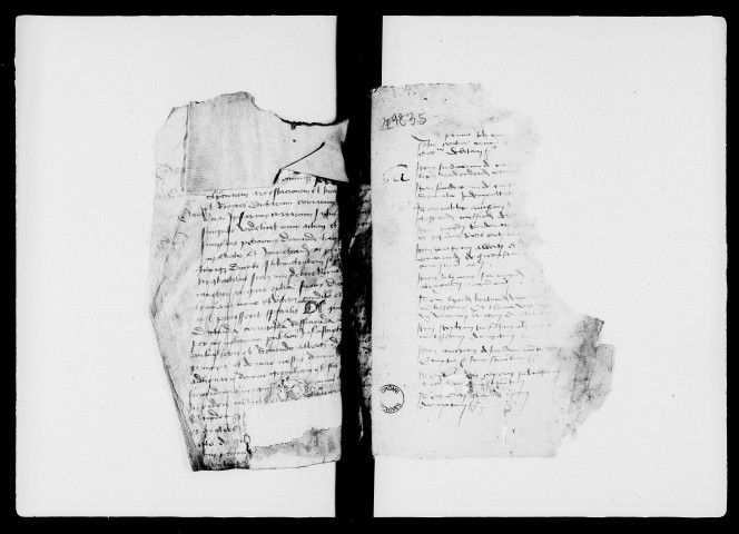 27 mars 1479-7 février 1505