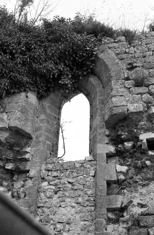 Livron-sur-Drôme.- Vestiges de l'ancienne abbaye dans le cimetière.