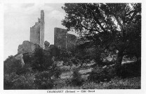 Chamaret.- Vue du donjon (7,35 m).