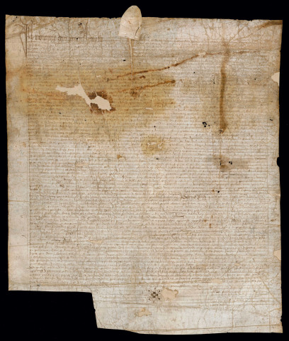 CC 8. Sentence arbitrale.