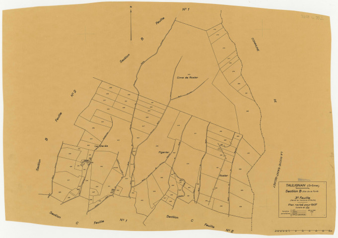 B3, La Forêt. 1937.