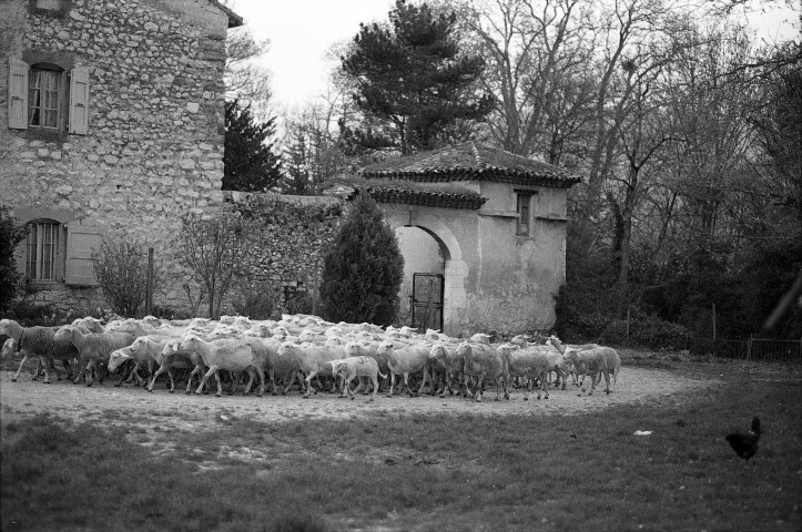 Mirabel-et-Blacons.- Ferme aux abords du château et des usines Latune.