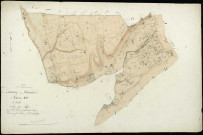 Section D3, Comptes (les).