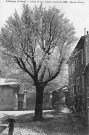 L'arbre de la Liberté planté en 1792, sous la neige.