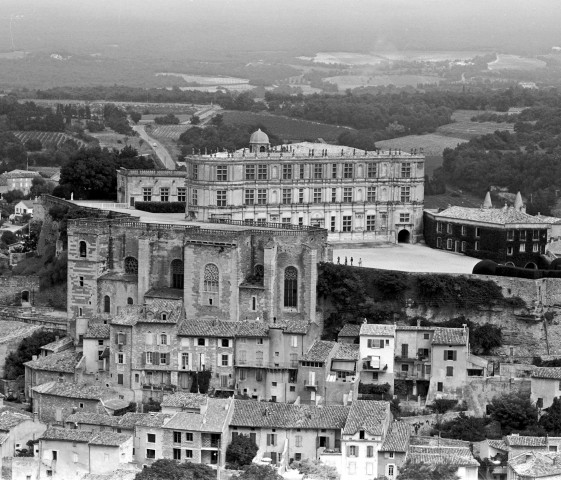 Vue aérienne du château, de la collégiale et d'une partie du village.