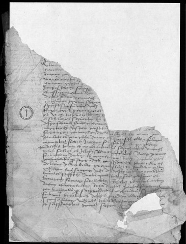 26 février 1491-11 mai 1501