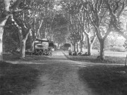 Charols, château de Salettes. - Camions et soldats de l'armée française dans l'allée du gros chêne.