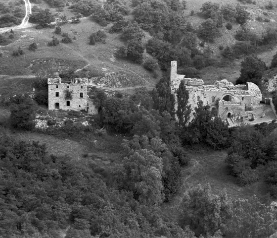 Vue aérienne des ruines de la chapelle du prieuré et du cimetière.