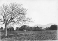 Rochebaudin, ferme du Mouilleron. - Scène de labour, vue panoramique.
