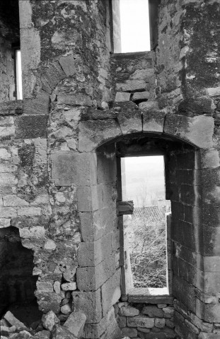 La Baume-de-Transit.- Les ruines du château féodal.