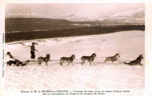 Skieur de randonnée et attelage de chiens.