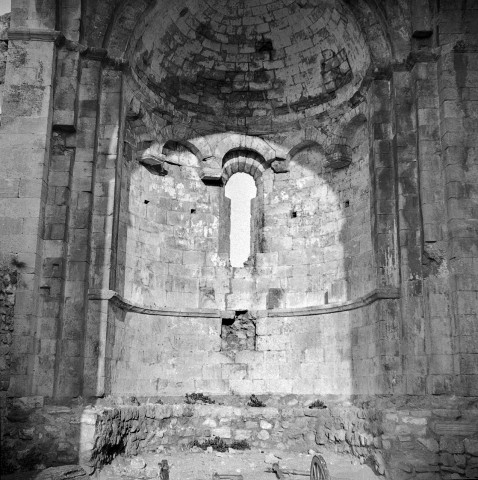 Allan.- Ruines de la chapelle Barbara, elle était celle d'un prieuré de l'ordre de Saint-Benoît.