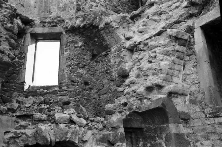 La Baume-de-Transit.- Les ruines du château féodal.