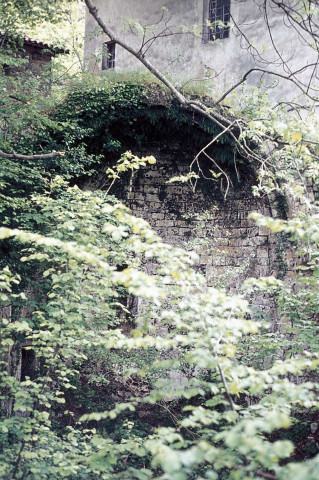 Saint-Laurent-en-Royans.- Ruines d'une chapelle.