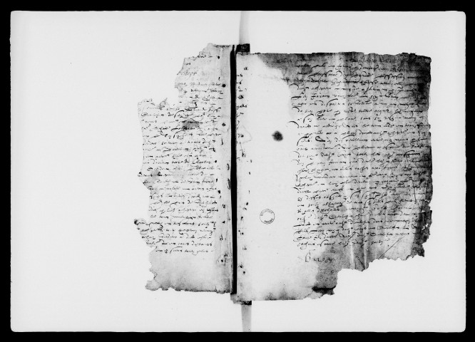 21 janvier 1584-1588