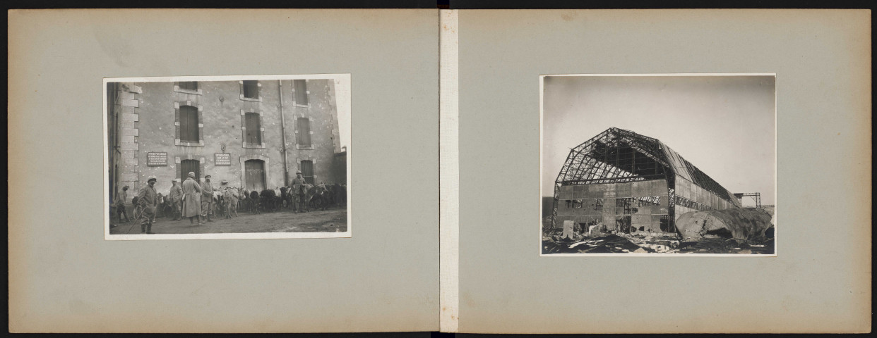 Mules au parc. Hangar détruit.