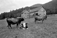 Bouvante.- L'auberge du Pionnier.