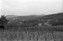 Les Tourrettes.- Les abords de la chapelle Saint-Didier.