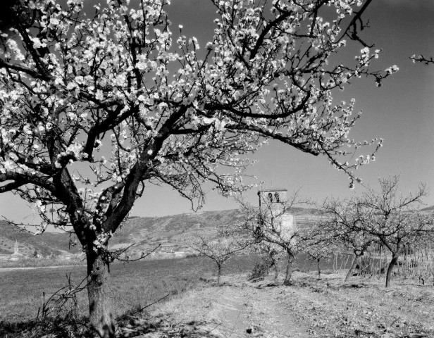 Erôme. - La chapelle [Saint-Antoine].