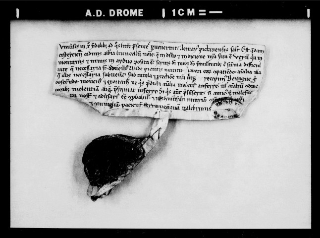 Donation par Aimard de Poitiers.