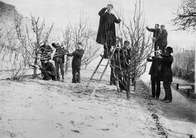 Le Puy (Haute-Loire).- Taille des arbres fruitiers à l'École Normale d'instituteurs, le 10 février 1899.