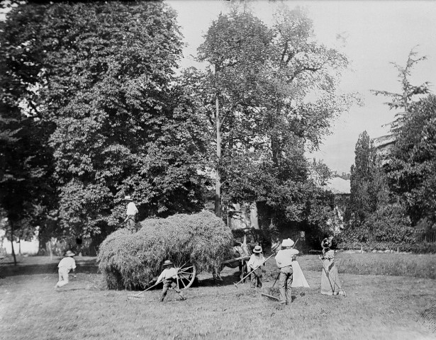 Saint-Thomas-en-Royans.- Les moissons sur le domaine de la Chartronnière.