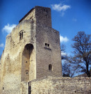 Le Poët-Laval.- Le château féodal.