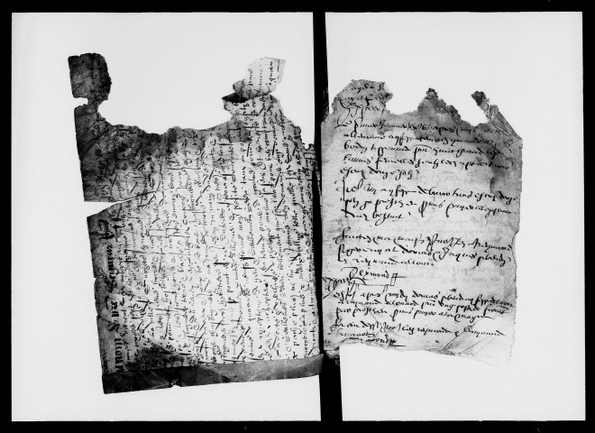 Notes brèves (1586).