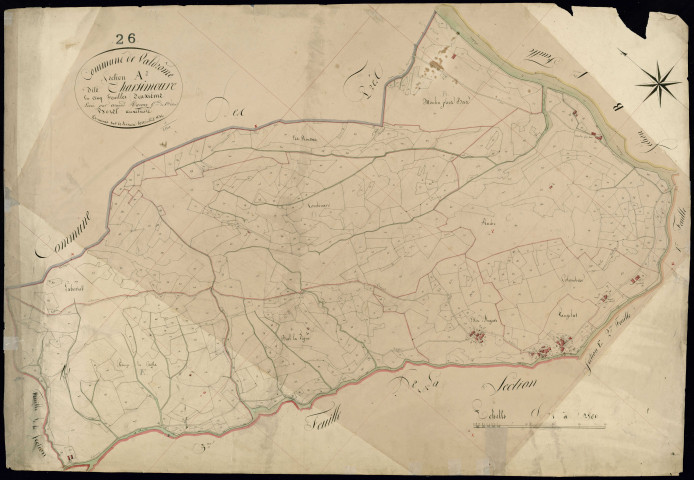 Section A2, Tarsimoure.