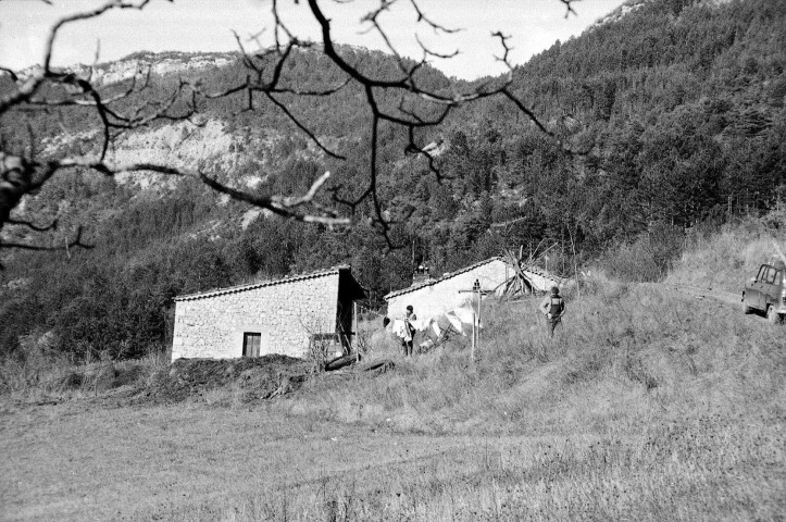 Ponet-et-Saint-Auban.- La ferme d'élevage Han Schook.