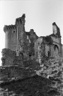 La Baume-de-Transit.- Les ruines du château féodal.