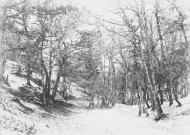 Charols, château de Salettes. - Le chemin de la Grande Combette.