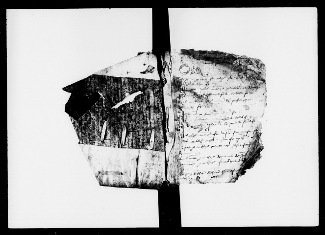 Notes brèves (1er janvier-29 décembre 1555).