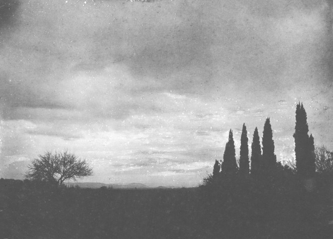 Charols, château de Salettes. - Essai de coucher de soleil, sur une haie de cyprès.