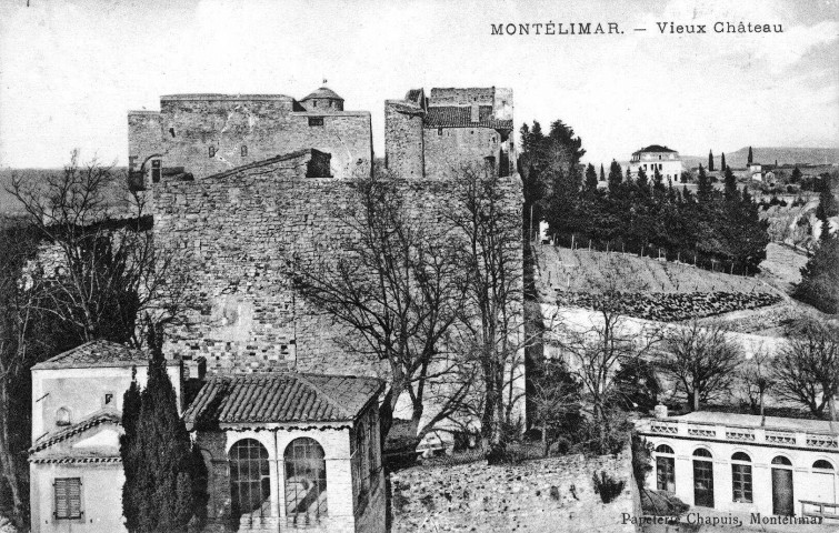 Le château des Adhémar.