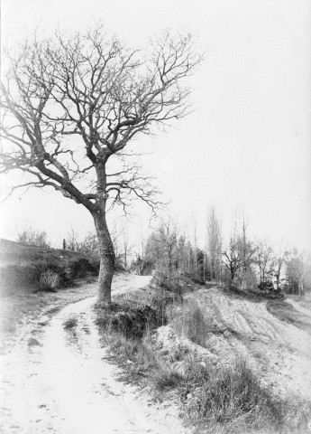 Salettes. - Le chemin du Colombier.