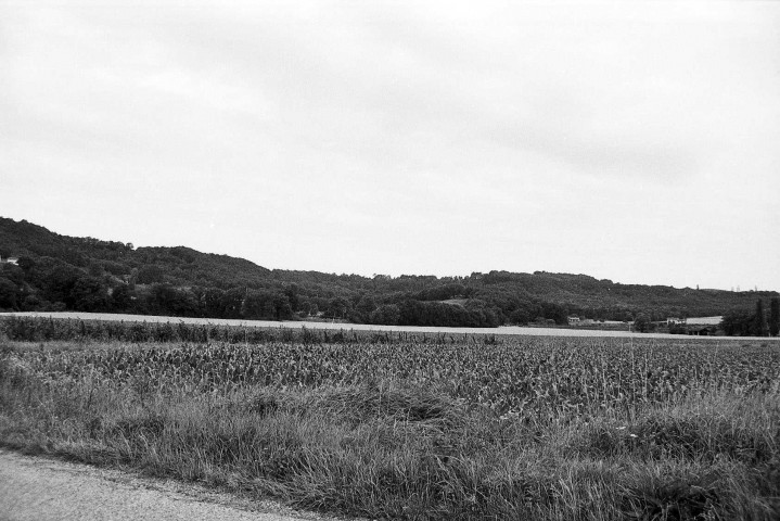 Triors.- Les abords sud du château.