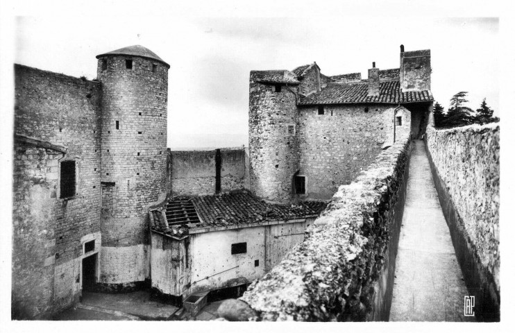 Le château des Adhémar.