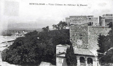 Le château des Adhémar.