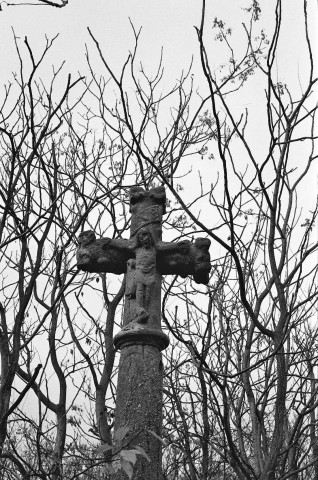 Chavannes. - Croix de chemin sur le domaine du château du Mouchet.