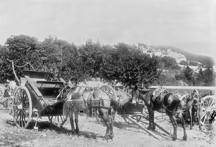 Marsanne.- L'enclos du Champ de foire.