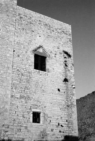 Montélimar.- Façade sud du château des Adhémar.