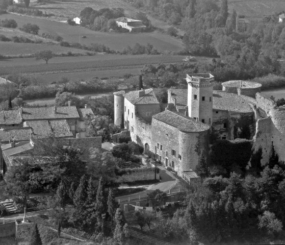 Vue aérienne du château.