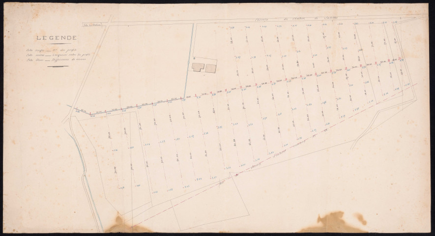 Vignoble du château.