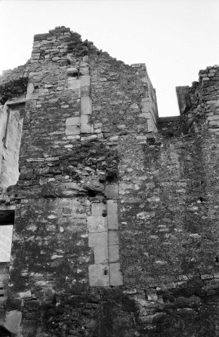 La Baume-de-Transit.- Les ruines du château féodal.