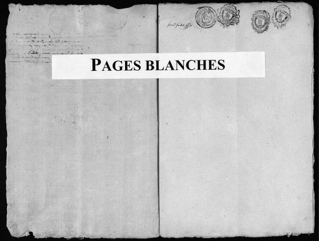 Publications de mariages (an V-1842).