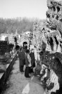 Hauterives.- Visite des Monuments Historiques au palais idéal du Facteur Cheval.