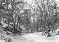 Charols, château de Salettes. - Le chemin de la Grande Combette.