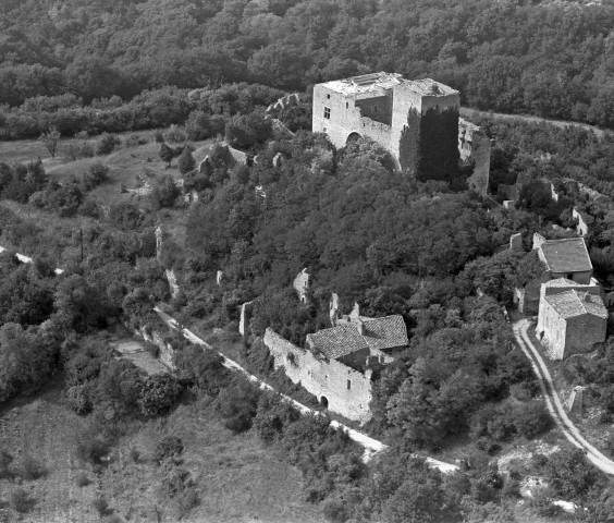 Vue aérienne du château.