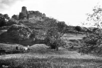 Les vestiges du château.